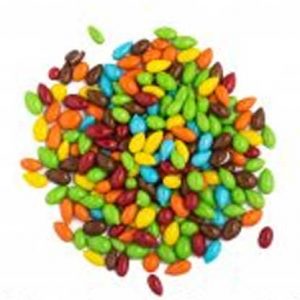 GIRASOL ACHOCOLATADO COLORES SURTIDOS 10 kg