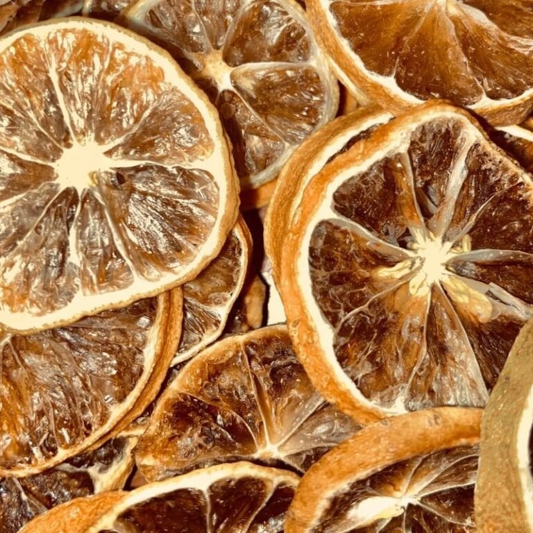 NARANJA-DESHIDRATADA-EN-RODAJAS-CAJA-X-4KG